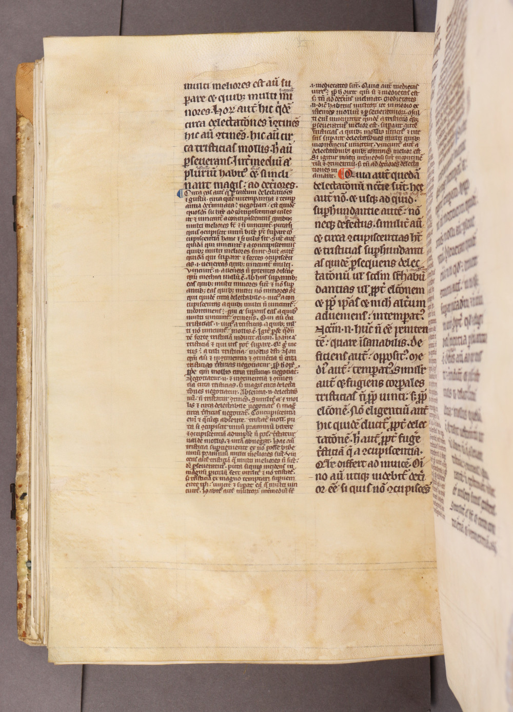 Folio 161 verso